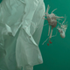 Image for article titled Human organs floating out of dress shirts, underwater